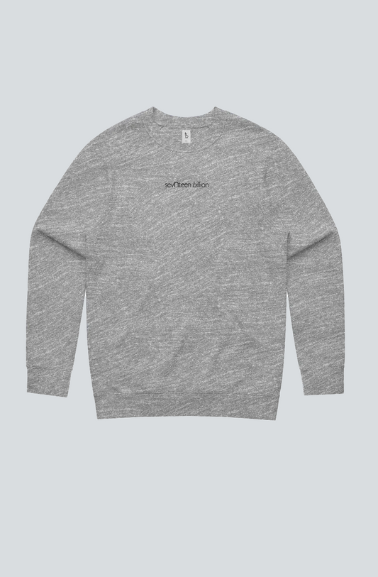 Gray Mens Crew Sweater